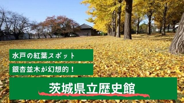 茨城県立歴史館 水戸市の紅葉の名所 イチョウ並木 をお散歩 21年の紅葉情報 茨城観光 グルメ情報ブログ イバトリ