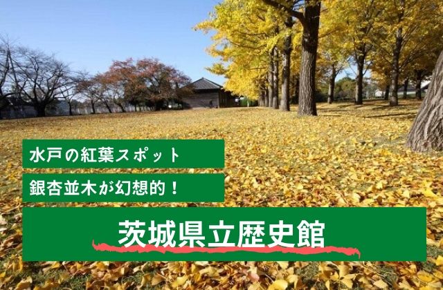 茨城県立歴史館 水戸市の紅葉の名所 イチョウ並木 をお散歩 年の紅葉情報 茨城観光 グルメ情報ブログ イバトリ