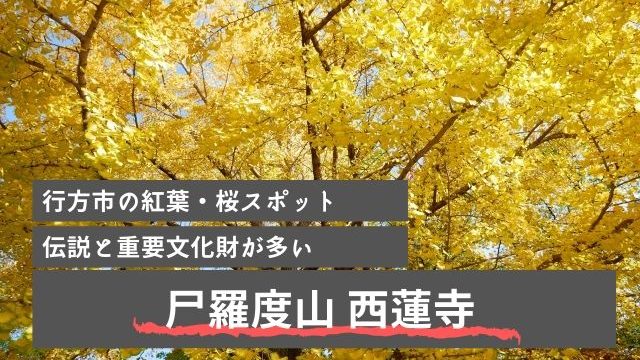 袋田の滝 紅葉 見頃はいつ 21年の基本情報や見所おすすめのプランも紹介 茨城観光 グルメ情報ブログ イバトリ