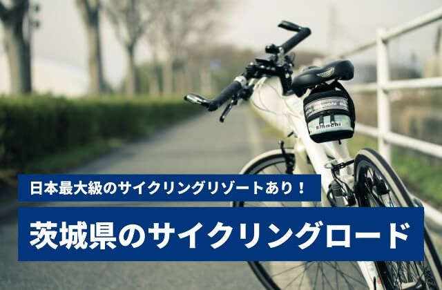 茨城　サイクリング　サイクリングロード