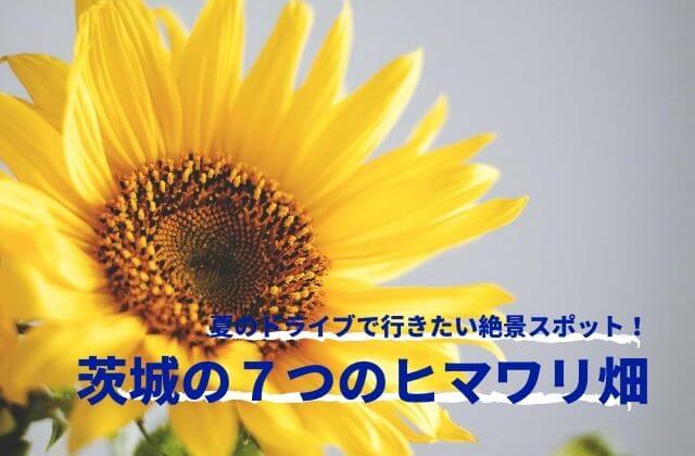 年度版 茨城のひまわり畑7選 ひまわりの見頃時期や場所 イベント情報 地元民による茨城観光 グルメ情報ブログ イバトリ