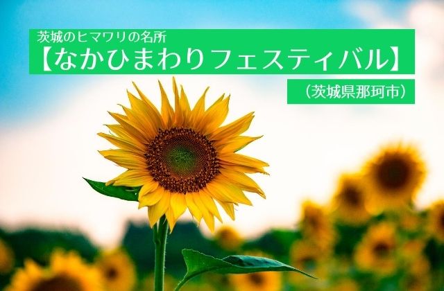 なかひまわりフェスティバル 那珂市 見頃時期や日程 駐車場情報 地元民による茨城観光 グルメ情報ブログ イバトリ