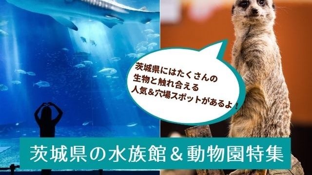 茨城県　水族館　動物園　おすすめ
