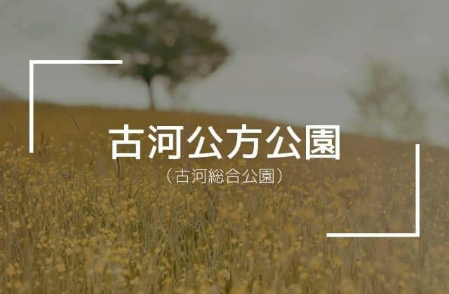 古河公方公園 古河総合公園 は蓮も見どころ アクセス 駐車場まとめ 茨城観光 グルメ情報ブログ イバトリ