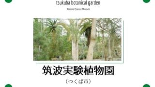 筑波実験植物園 タグの記事一覧 茨城観光 グルメ情報ブログ イバトリ