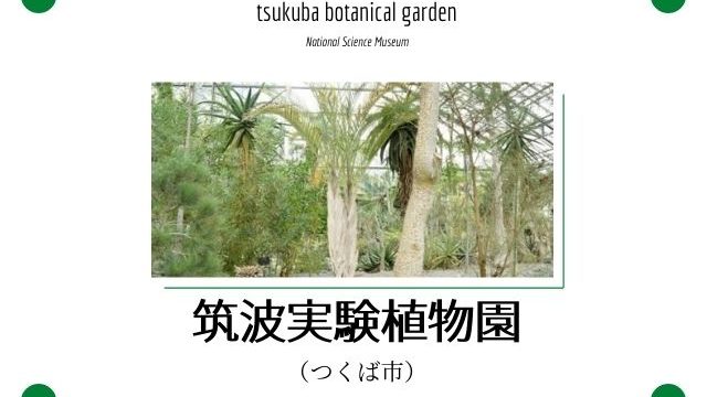 筑波実験植物園 つくば植物園 はどんな所 ランチはお弁当持参でピクニックも 茨城観光 グルメ情報ブログ イバトリ