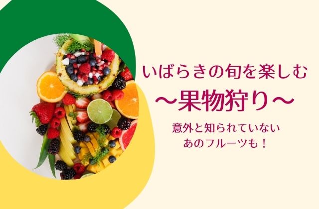茨城で果物狩りがおすすめ Gw 夏休みや秋と旬なフルーツ盛りだくさん 茨城観光 グルメ情報ブログ イバトリ