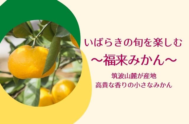 福来みかん つくば特産品のみかん狩り情報や七味などおすすめ土産も紹介 茨城観光 グルメ情報ブログ イバトリ