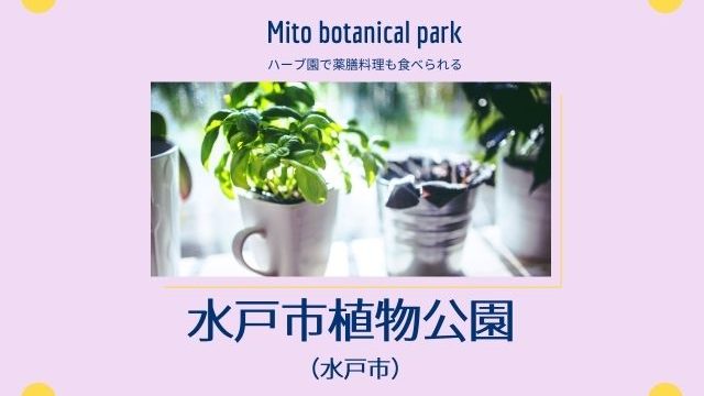 水戸市植物公園 ランチは薬膳料理 鑑賞大温室が21年にリニューアル 茨城観光 グルメ情報ブログ イバトリ