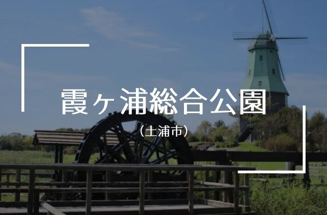 霞ヶ浦総合公園 駐車場 アクセス 園内情報 無料で遊べるおすすめスポット 土浦市 茨城観光 グルメ情報ブログ イバトリ