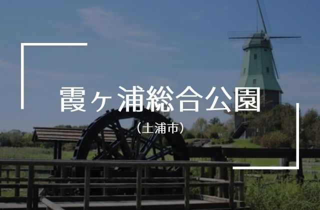 霞ヶ浦総合公園　駐車場　入園料　無料