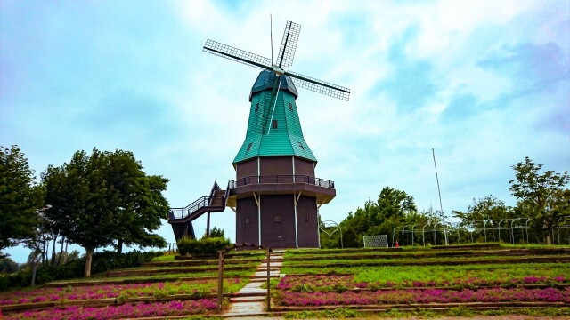 霞ヶ浦総合公園　オランダ型風車の前
