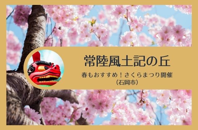 常陸風土記の丘の桜 今年の開花状況は 枝垂桜のトンネルに圧倒 石岡市 茨城観光 グルメ情報ブログ イバトリ