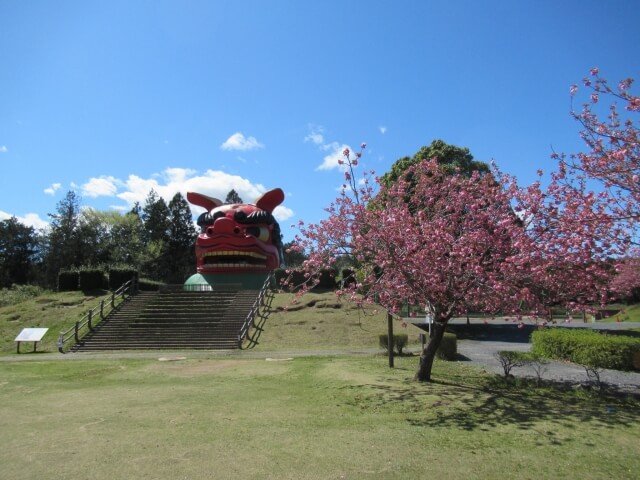 常陸風土記の丘の桜 今年の開花状況は 枝垂桜のトンネルに圧倒 石岡市 茨城観光 グルメ情報ブログ イバトリ