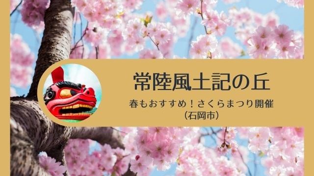 常陸風土記の丘　桜　開花状況　石岡市