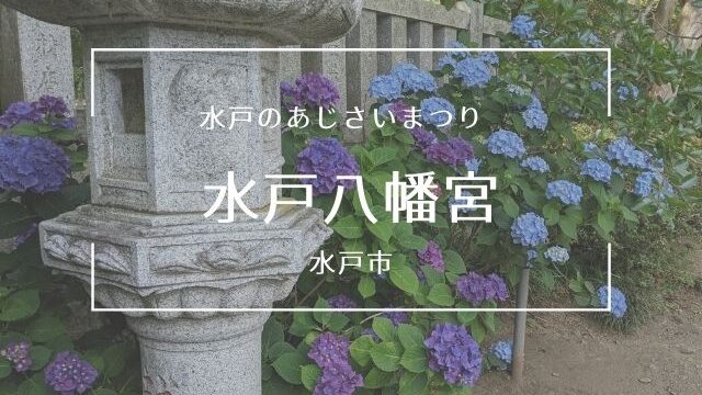 水戸八幡宮で水戸のあじさいまつり 22年 境内と山あじさいの小道 茨城観光 グルメ情報ブログ イバトリ