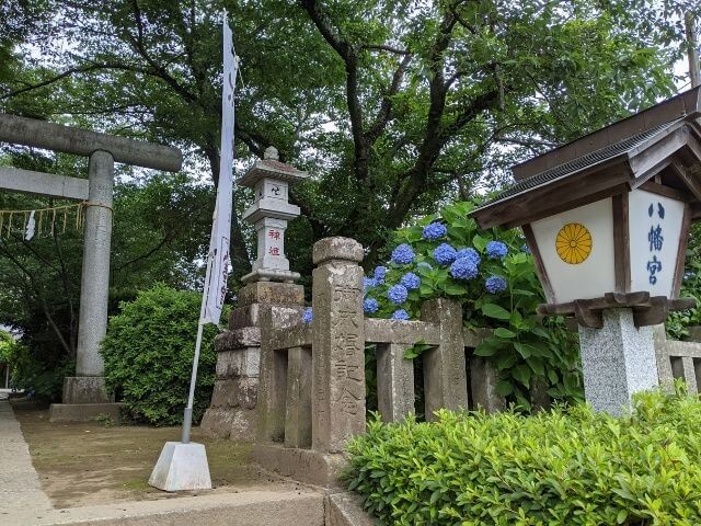 水戸八幡宮で水戸のあじさいまつり 22年 境内と山あじさいの小道 茨城観光 グルメ情報ブログ イバトリ