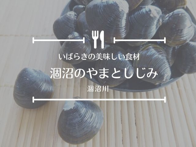 涸沼のしじみの直売所 お取り寄せ情報 大きい粒でぷりぷり食感と濃厚だしが美味しい 茨城観光 グルメ情報ブログ イバトリ