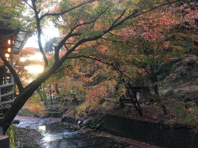 月待の滝　紅葉　見頃