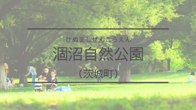 涸沼自然公園　イベント　