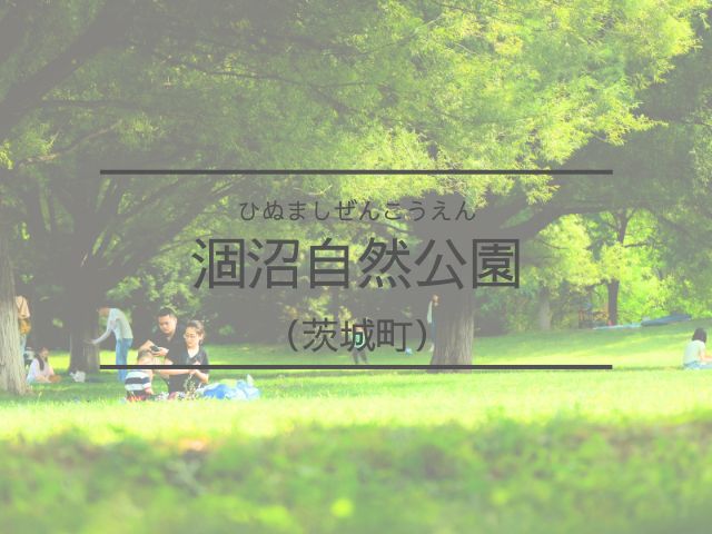 涸沼自然公園　イベント　