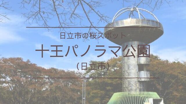 十王パノラマ公園　桜　イベント