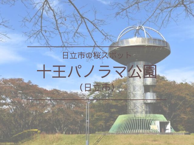 十王パノラマ公園　桜　イベント