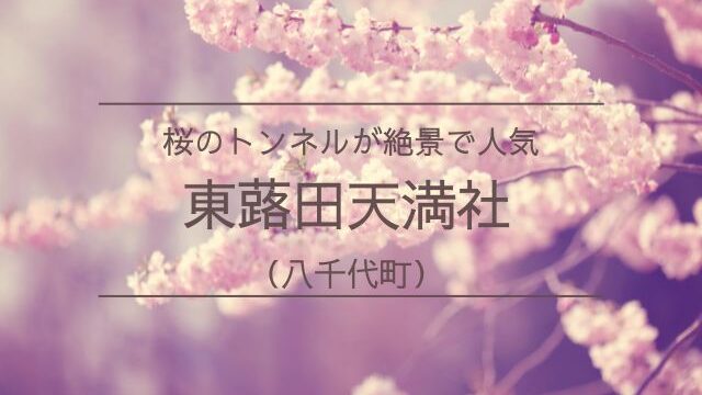 東蕗田天満社　桜　ライトアップ　見頃